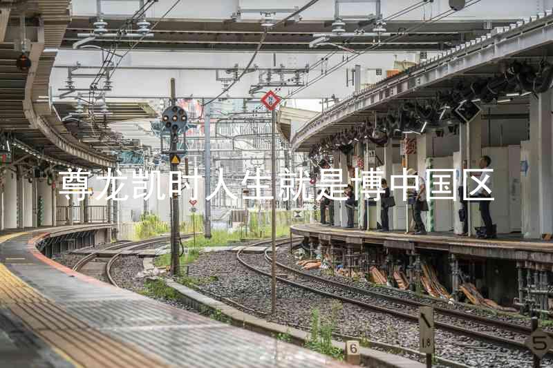 尊龙凯时人生就是博中国区