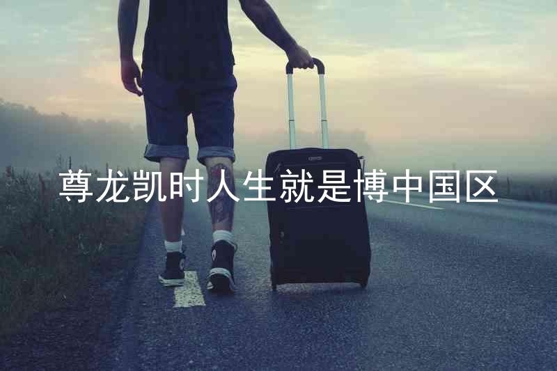 尊龙凯时人生就是博中国区